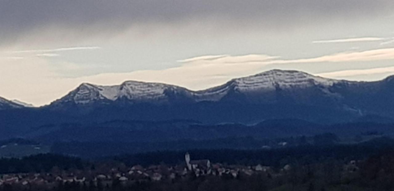 Апартаменти Alpenblick Лойткірх-ім-Алльгой Екстер'єр фото
